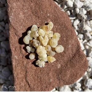 MAXI PACK – Encens Hojari Royal d’Oman (Boswellia Sacra, Grade 1) – Résine Pure pour Méditation, Rituels & Prières